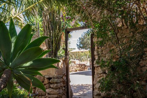 Villa a Cap De Barbaria, Formentera, Cap De Barbaria - € 2.500.000 | Ref: IBZ59600 - foto 24