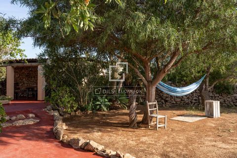 Villa a Cap De Barbaria, Formentera, Cap De Barbaria - € 2.500.000 | Ref: IBZ59600 - foto 30