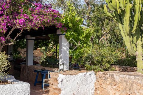 Villa a Cap De Barbaria, Formentera, Cap De Barbaria - € 2.500.000 | Ref: IBZ59600 - foto 36