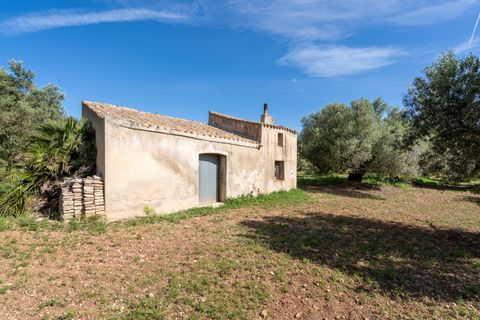 Finca i Roquetes, Tarragona, Roquetes - € 86.000 | Ref: 215 - foto 2