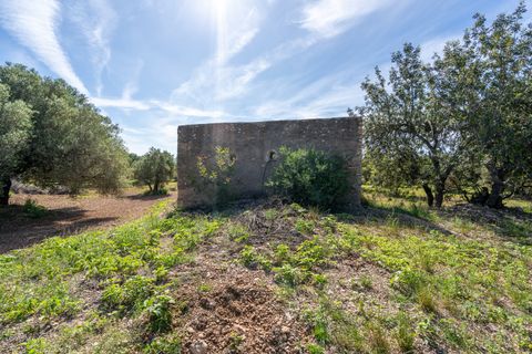 Finca i Roquetes, Tarragona, Roquetes - € 86.000 | Ref: 215 - foto 18