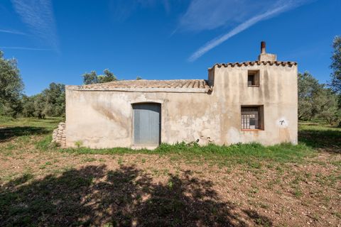 Finca i Roquetes, Tarragona, Roquetes - € 86.000 | Ref: 215 - foto 3