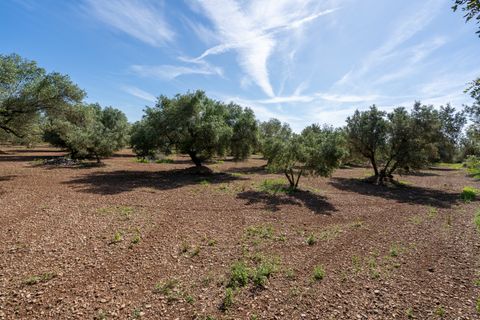 Finca i Roquetes, Tarragona, Roquetes - € 86.000 | Ref: 215 - foto 15
