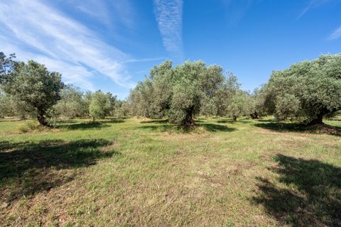 Finca i Roquetes, Tarragona, Roquetes - € 86.000 | Ref: 215 - foto 23