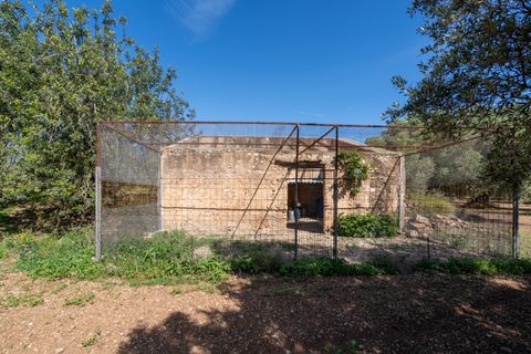 Finca i Roquetes, Tarragona, Roquetes - € 86.000 | Ref: 215 - foto 17