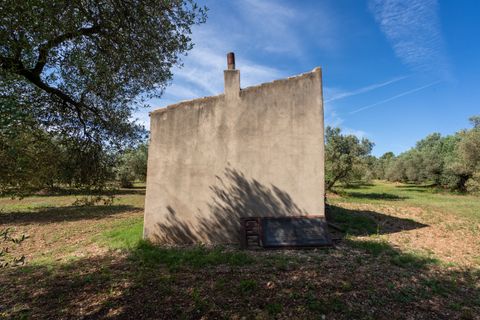 Finca i Roquetes, Tarragona, Roquetes - € 86.000 | Ref: 215 - foto 5