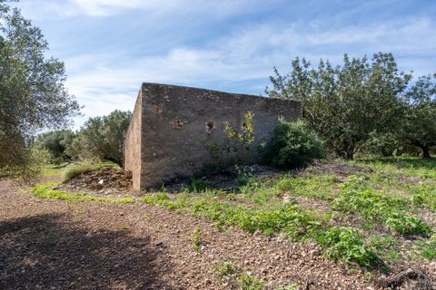 Finca i Roquetes, Tarragona, Roquetes - € 86.000 | Ref: 215 - foto 19