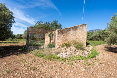 Finca i Roquetes, Tarragona, Roquetes - € 86.000 | Ref: 215 - foto 16