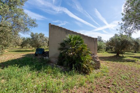 Finca i Roquetes, Tarragona, Roquetes - € 86.000 | Ref: 215 - foto 4
