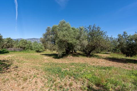 Finca i Roquetes, Tarragona, Roquetes - € 86.000 | Ref: 215 - foto 20