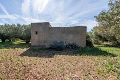Finca i Roquetes, Tarragona, Roquetes - € 86.000 | Ref: 215 - foto 13