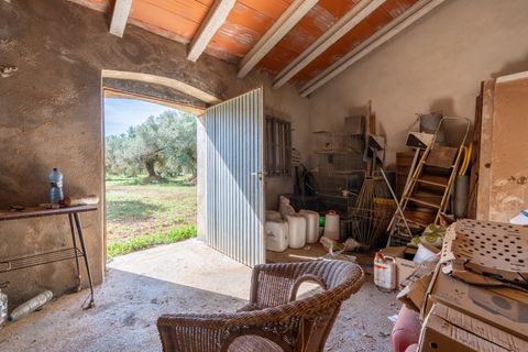 Finca i Roquetes, Tarragona, Roquetes - € 86.000 | Ref: 215 - foto 12