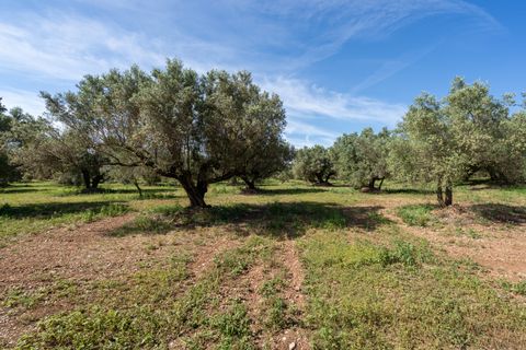 Finca i Roquetes, Tarragona, Roquetes - € 86.000 | Ref: 215 - foto 22