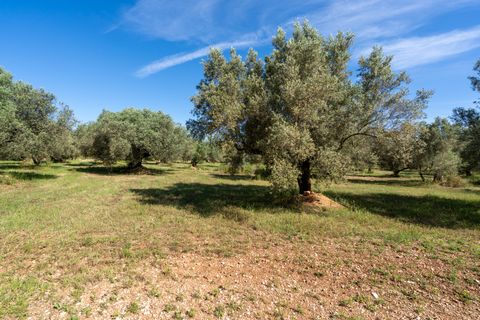 Finca i Roquetes, Tarragona, Roquetes - € 86.000 | Ref: 215 - foto 21