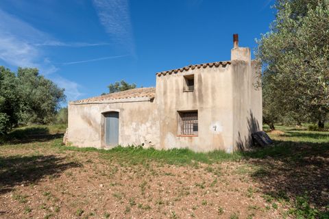 Finca i Roquetes, Tarragona, Roquetes - € 86.000 | Ref: 215 - foto 6
