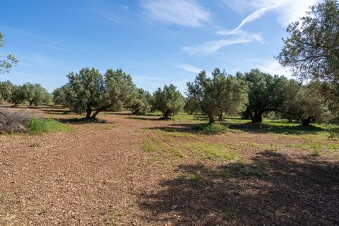 Finca i Roquetes, Tarragona, Roquetes - € 86.000 | Ref: 215 - foto 14