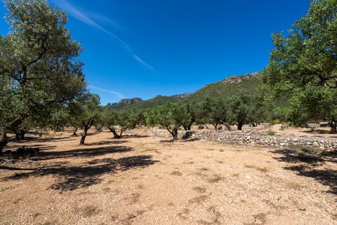 Finca i Roquetes, Tarragona, Roquetes - € 48.000 | Ref: 216 - foto 13
