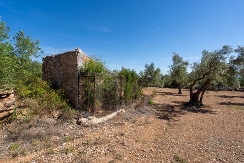 Finca i Roquetes, Tarragona, Roquetes - € 48.000 | Ref: 216 - foto 11