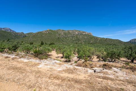 Finca i Roquetes, Tarragona, Roquetes - € 48.000 | Ref: 216 - foto 20