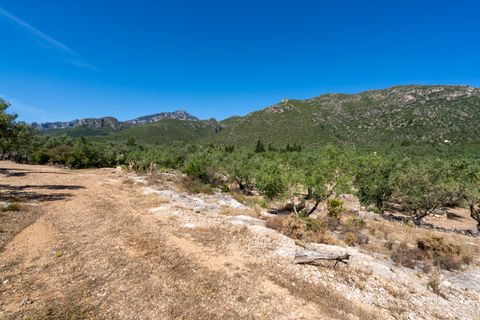 Finca i Roquetes, Tarragona, Roquetes - € 48.000 | Ref: 216 - foto 19