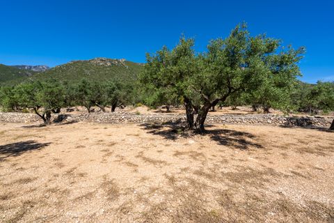 Finca i Roquetes, Tarragona, Roquetes - € 48.000 | Ref: 216 - foto 10