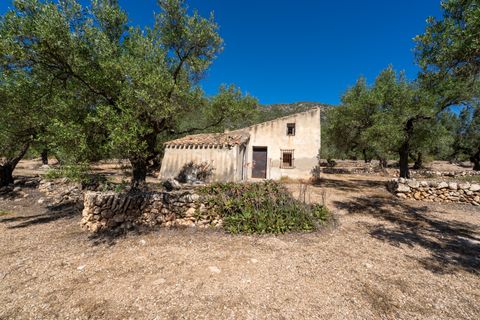 Finca i Roquetes, Tarragona, Roquetes - € 48.000 | Ref: 216 - foto 7