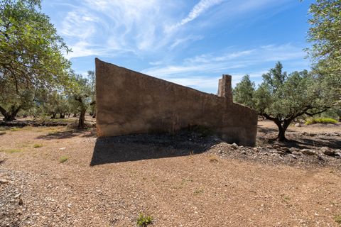 Finca i Roquetes, Tarragona, Roquetes - € 48.000 | Ref: 216 - foto 12