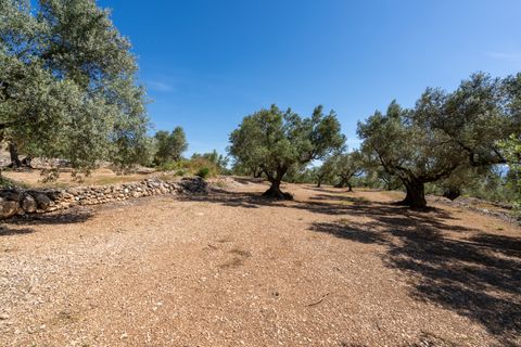 Finca i Roquetes, Tarragona, Roquetes - € 48.000 | Ref: 216 - foto 14