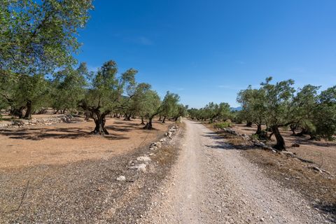 Finca i Roquetes, Tarragona, Roquetes - € 48.000 | Ref: 216 - foto 21