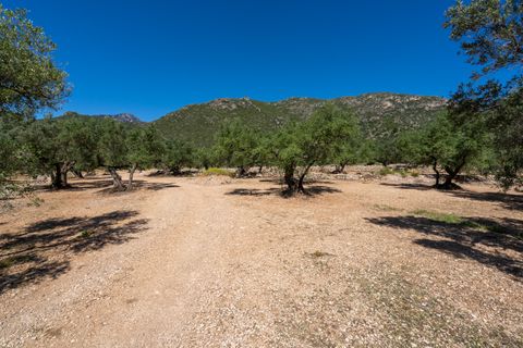 Finca i Roquetes, Tarragona, Roquetes - € 48.000 | Ref: 216 - foto 15