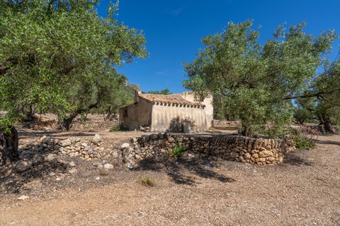 Finca i Roquetes, Tarragona, Roquetes - € 48.000 | Ref: 216 - foto 8