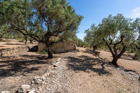 Finca i Roquetes, Tarragona, Roquetes - € 48.000 | Ref: 216 - foto 9