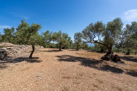 Finca i Roquetes, Tarragona, Roquetes - € 48.000 | Ref: 216 - foto 16