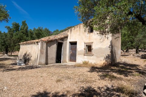 Finca i Roquetes, Tarragona, Roquetes - € 48.000 | Ref: 216 - foto 2