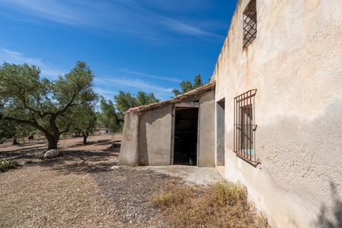 Finca i Roquetes, Tarragona, Roquetes - € 48.000 | Ref: 216 - foto 3
