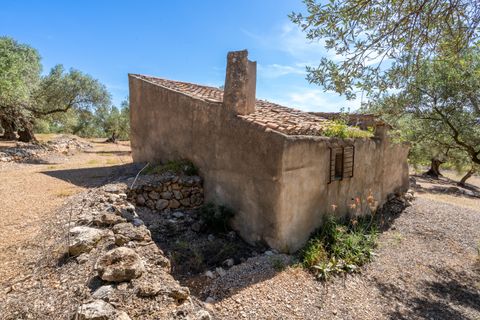 Finca i Roquetes, Tarragona, Roquetes - € 48.000 | Ref: 216 - foto 4