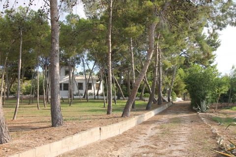 Villa i Aspe, Alicante, Aspe - € 500.000 | Ref: CLDJ-90197 - foto 3
