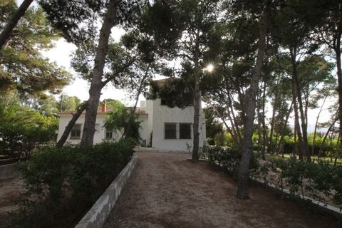 Villa i Aspe, Alicante, Aspe - € 500.000 | Ref: CLDJ-90197 - foto 4