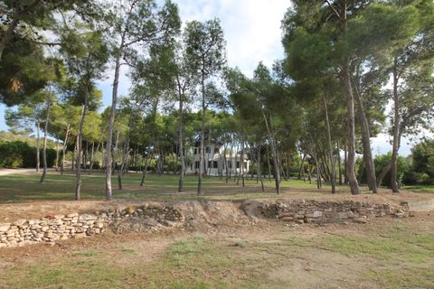 Villa i Aspe, Alicante, Aspe - € 500.000 | Ref: CLDJ-90197 - foto 5