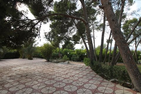 Villa i Aspe, Alicante, Aspe - € 500.000 | Ref: CLDJ-90197 - foto 7