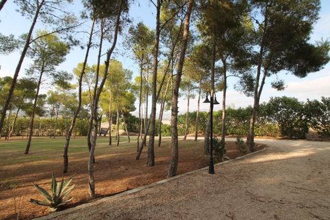 Villa i Aspe, Alicante, Aspe - € 500.000 | Ref: CLDJ-90197 - foto 11