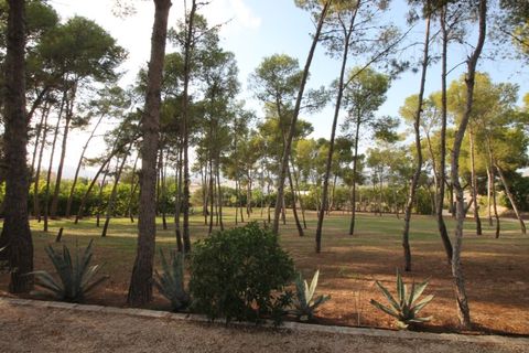 Villa i Aspe, Alicante, Aspe - € 500.000 | Ref: CLDJ-90197 - foto 12