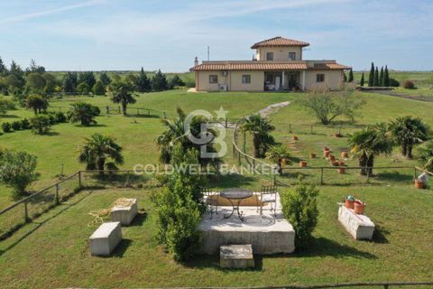 Villa a Canino, Viterbo, Canino - € 445.000 | Ref: CBI105-1176-243 - foto 2