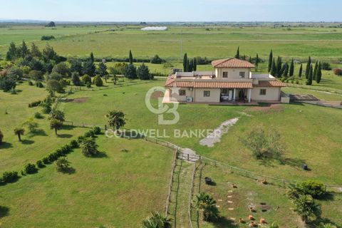Villa a Canino, Viterbo, Canino - € 445.000 | Ref: CBI105-1176-243 - foto 3