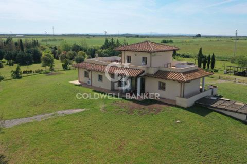Villa a Canino, Viterbo, Canino - € 445.000 | Ref: CBI105-1176-243 - foto 7