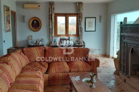 Villa a Canino, Viterbo, Canino - € 445.000 | Ref: CBI105-1176-243 - foto 14
