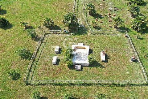 Villa a Canino, Viterbo, Canino - € 445.000 | Ref: CBI105-1176-243 - foto 27