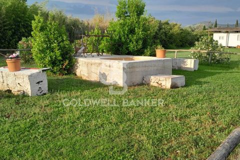 Villa a Canino, Viterbo, Canino - € 445.000 | Ref: CBI105-1176-243 - foto 28