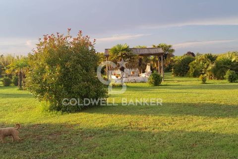 Villa a Canino, Viterbo, Canino - € 445.000 | Ref: CBI105-1176-243 - foto 29