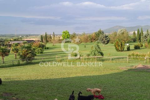 Villa a Canino, Viterbo, Canino - € 445.000 | Ref: CBI105-1176-243 - foto 32